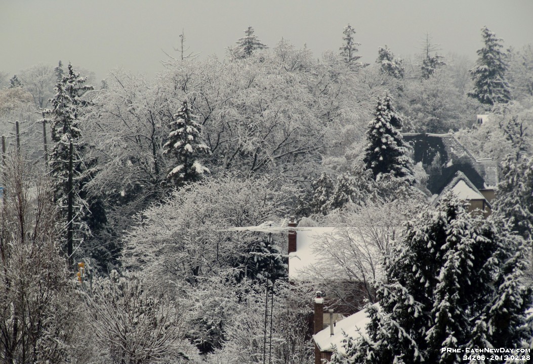 34265RoCrLe - It's a glorious winter wonderland!